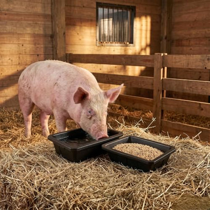 Cididu 2 Pack Rubber Feeder Pan, 10 Quart Large Horse Trough Feeder Bucket, Heavy Duty 2.5 Gallon Chicken Dust Bath Tub Water Bowl for Pig Goat Dog Cat Farm Livestock Animal Feeding, Rectangular