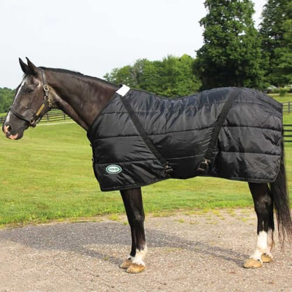Country Pride Sentinel Channel Quilt Horse Stable Blanket, Midweight Open Front, 420D Nylon Outer Shell, 250g Poly-Fill Insulation, Wither Protection, Adjustable Leg Straps, Bias Surcingle (76,Black) - color: Black, size: 76