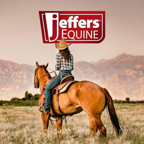 Jeffers Equine LuxeLeather Heavy Oiled Western Leather Horse Reins – Split, Laced & Roping Styles with Tie or Snap Ends for Riding & Training - size: 5/8" x 8'
