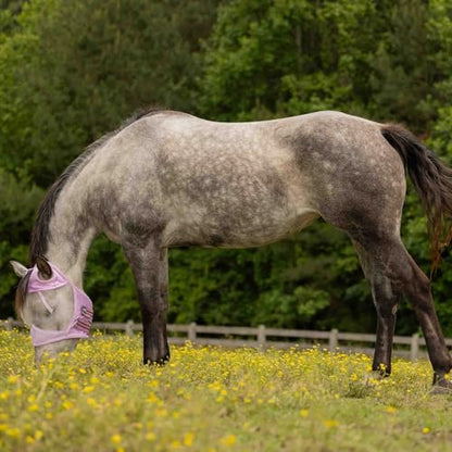 Equinavia Algard Soft Mesh Earless Fly Mask - Sweet Pink - Warmblood - color: Sweet Pink, size: Warmblood