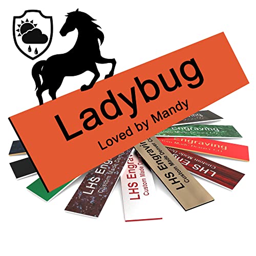 Horse Stall Name Plate, 2x6 Personalized Stall Signs, UV Protected, All Weather Adhesive, Hanging, Mounting or Other, Orange Plastic with Black Letters - Made in USA - B11 - color: B11 - Orange/Black, size: 2in x 6in (5.1cm x 15.2cm)