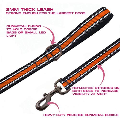 JSXD Heavy Duty Double Handle Dog Leash - 5 FT with Padded, Reflective Rope for Small to Large Dogs (Wide-Orange) - color: Wide-Orange