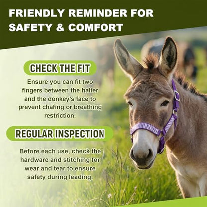 1 Set Mini Donkey Halter with Lead Rope Adjust, Purple - color: Purple