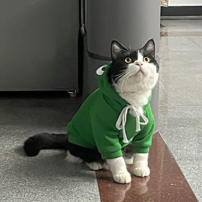 Dog Hoodie Basic Sweater Coat Cute - Frog Shape Warm Jacket Pet Cold Weather Clothes Outfit Outerwear for Cats Puppy Small Medium Dogs（XL） - color: Green Frog, size: X-Large