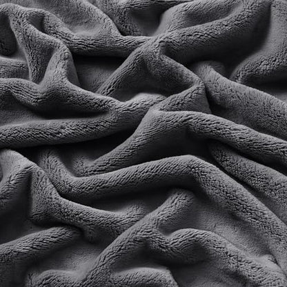 Brookstone Nap Plush Throw Blanket for Couch | Warm & Super Soft Blanket with Unmatched Heavy, Dense, and Ultra-Comfy Throw | Luxurious Drape, Cozying Up on a Sofa, Chair | Silver - color: Silver