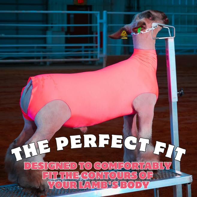 Show Pro Pink Spandex Lamb Tube for Show Sheep & Lamb - Show Livestock Supplies: Sheep Covers & Blankets (Large) - size: Large