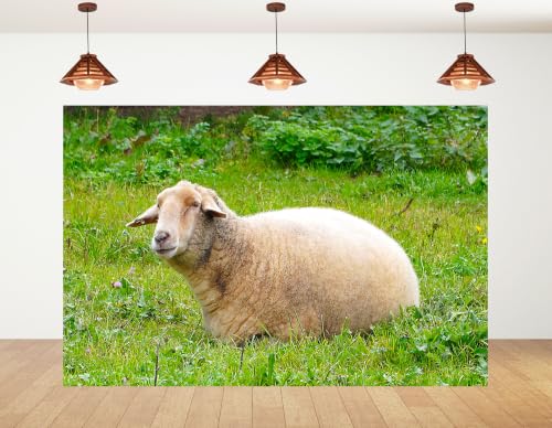 4x4ft Fabric Resting Wool Sheep Backdrop Lush Green Wildflower Meadow Soft Natural Light Farm Animal Photography Background Tapestry Country Farm Decorations Photo Booth Props - size: 4x4ft