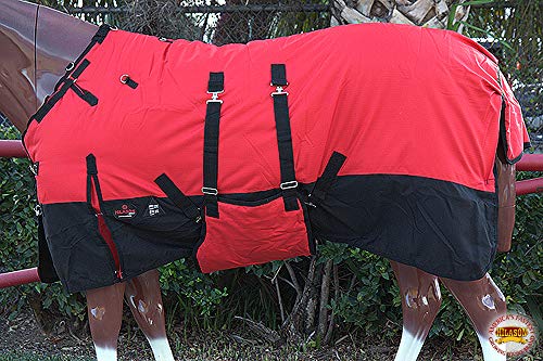 Winter Horse Blanket 600D Waterproof - Hilason Turnout Sheet - size: 78 In