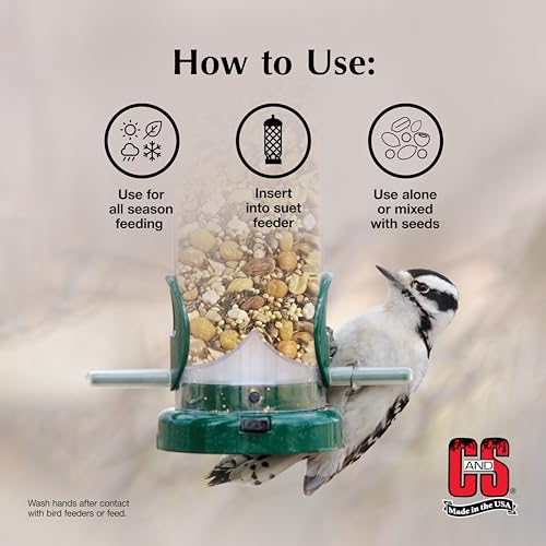 C&S Peanut Flavor Suet Nuggets, Bird Suet for Woodpeckers, 27 Ounces - size: 1.69 Pound (Pack of 1)