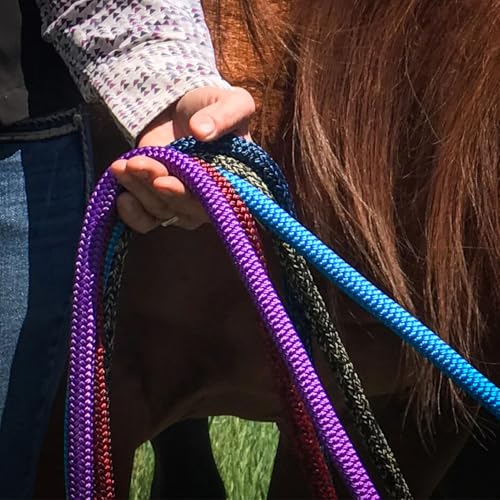 PARELLI 22 Foot Ground Training Rope - Strong Everyday Use All-Purpose Large Horse Lead Rope with Loop & Latigo Popper | 9/16" Diameter Smooth Yachting Braid, Blue Black Blend - color: Blue Black Blend
