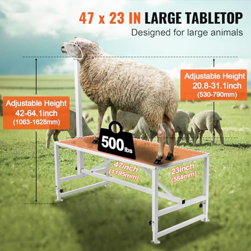 Happybuy Goat & Sheep Stand, 47x23 inch Livestock Stand, Metal with 21" to 33" Adjustable Height, Headpiece and Nose Loop, 500lbs Loading Weight, Perfect for Milking and Shearing, White