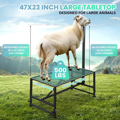 RQR 500 Lbs Goat Milking and Shearing Stand, Sturdy Sheep Stand with Chain Halter, 47"x23", Adjustable Height Livestock Stand, Easy to Clean, Fits Goats, Sheep & Livestock