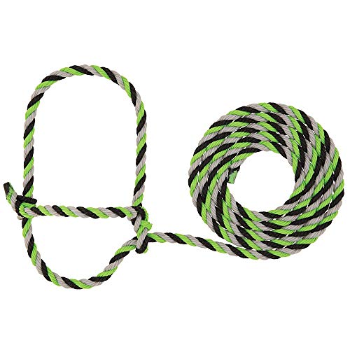 Weaver LivestockRope Halter - color: Purple/Black/Teal, size: One Size