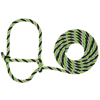 Weaver LivestockRope Halter - color: Purple/Black/Teal, size: One Size