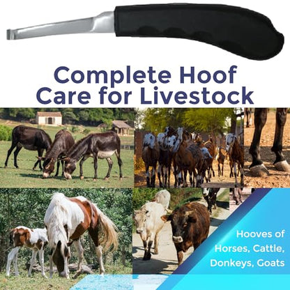 Regular Hoof Knife for Horses – Farrier Tool with Plastic Grip – Hoof Trimming Knife for Equine Care & Veterinary Use (Left Hand) - style: Narrow Curved Blade - RH