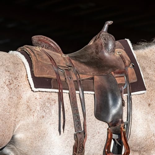 Classic Equine Performance Trainer Saddle Pad, Felt Top, Coffee