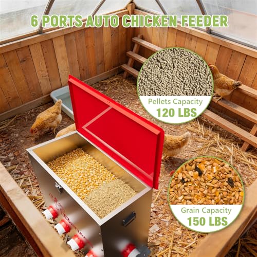 Metal Chicken Feeder, 150 LBs, 10 Ports | Automatic, No-Wase, Predator Proof Latch, Weatherproof, Anti-Tip Stakes, with Vegetable Hanging Feeder - size: 150 LB-10 Ports