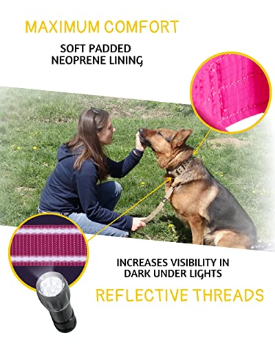 ADITYNA Heavy Duty Pink Dog Collar for Medium Dogs with Traffic Handle - color: Pink, size: Medium: Fit 15-19" Neck