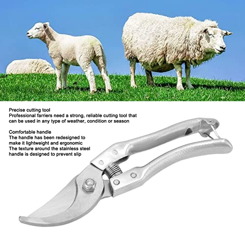 Farrier Hoof Tool Kit, Goat Hoof Trimming Shears Nail Clippers for Sheep, Lamb, Pig Hooves, Animal Toe Nails Trimming Repairing Tool (Silver)