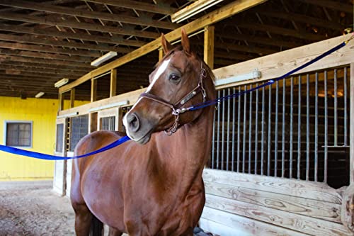 Tack Shack of Ocala Nylon Quick Release Cross Ties, Set of 2, Cross Ties for Barn, Stable Supplies - color: Navy