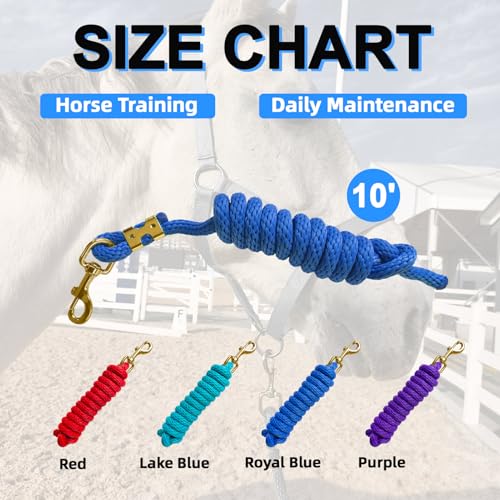 5/8" x 8' Nylon Horse Lead Rope (Royal Blue) - color: Royal Blue