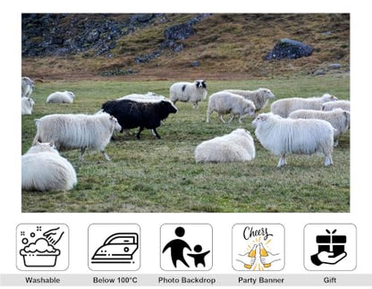 4x4ft Fabric Grass Highland Sheep Backdrop Fluffy White Wool Sheep Single Black Sheep Rocky Hill Pasture Countryside Photography Background Tapestry Party Rural Decorations Photo Props - size: 4x4ft