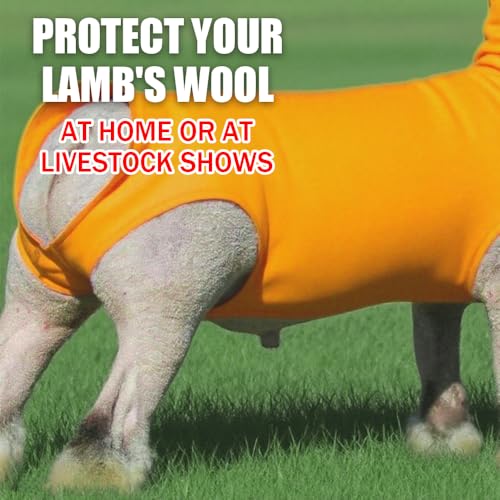 Spandex Goat Tube for Show Goats - Show Livestock Supplies: Goat Covers & Blankets (Violet, Medium) - color: violet, size: Medium