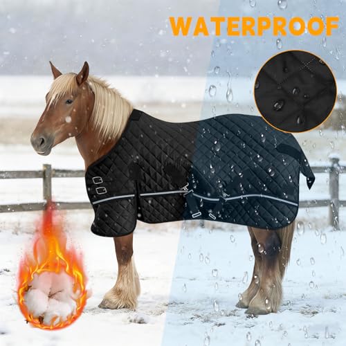 48in Pony/Mini Horse/Foal/Miniature Horse Blanket, 200g