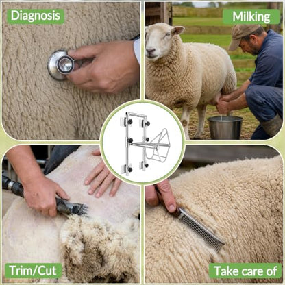 Goat Sheep Stand for Shearing & Milking with Bottom Hook & Dual Mounting 304 Stainless Steel Goat Stand – Adjustable Height for Farm, Ranch & Veterinary Use