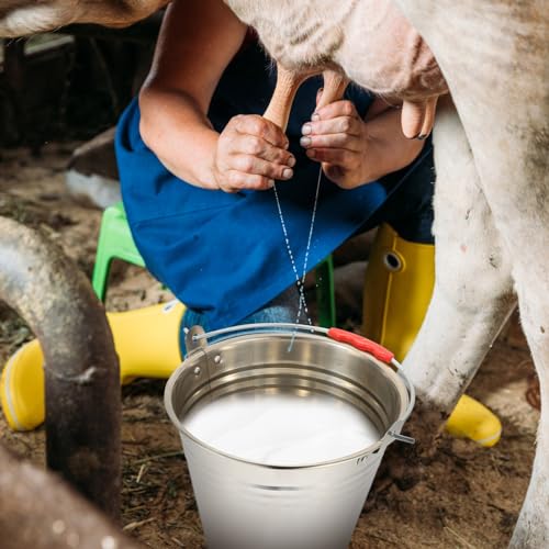 Hemoton Stainless Steel Bucket with Lid 5.5 Qt Multi-Purpose Household Water Bucket for Milking Dairy Storage and Compost Use with Comfortable Handle