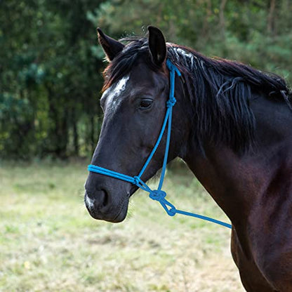 Dunzy 2 Pcs Horse Rope Halters 4 Knot Training Halter Gift Black Turquoise