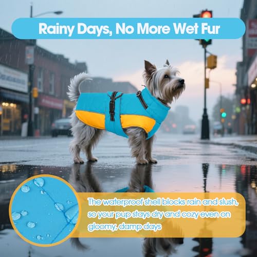 QBLEEV Warm Dog Jacket, Waterproof Dog Winter Coat with Harness - color: Lake-Blue, size: X-Large