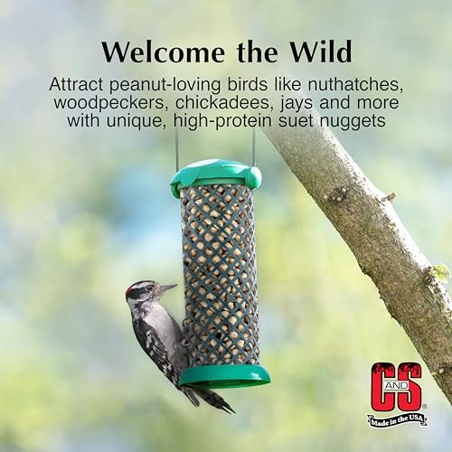 C&S Peanut Suet Nuggets, Bird Suet for Woodpeckers, 8 Pound (Pack of 1) - size: 8 Pound (Pack of 1)