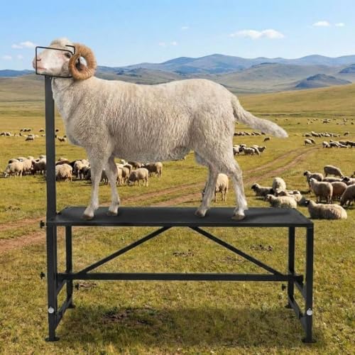 Adjustable Goat Milking Stand 47x23in 500LBS Capacity Heavy Duty | Headpiece & Nose Loop, Height Adjustable, Multi-Purpose