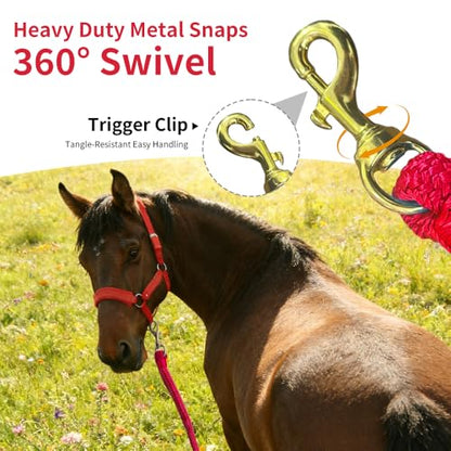 Double Braided Nylon Horse Lead Rope with Snap Hook, Black, 10 FT, Durable Lightweight (Red, 10FT) - color: Red, size: 10FT