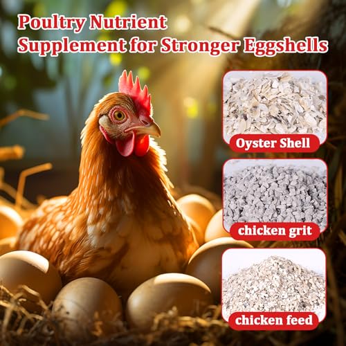 Oyster Shell and Grit Feeder Combo, Metal Chicken Feeder with Viewing Window/Lid, Hanging Gravity Chicken Grit Feeder, Coop Accessories for Healthier Hens and Eggs (Red) - color: Red