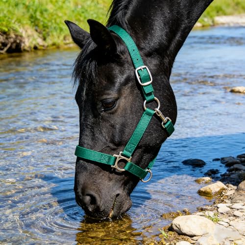 Heavy Duty Soft Nylon Horse Halter, Padded and Adjustable, Chin and Throat Snap Hook Halters for Horses, Heavy-Duty Metal Buckle - color: Dark Green