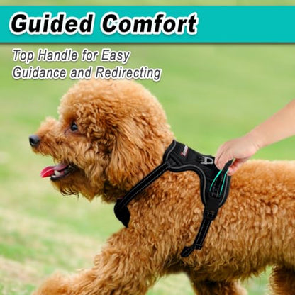 BARKBAY Dog Harness for Small Sized Dog No Pull Mesh 2 Clips Dog Vest - color: Black-Mesh, size: X-Small
