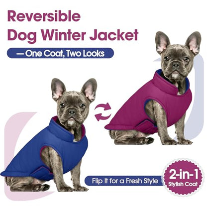 QBLEEV Reversible Dog Jacket, Windproof Dog Coat, Lightweight Puffer Vest - color: Violet-Blue, size: X-Small