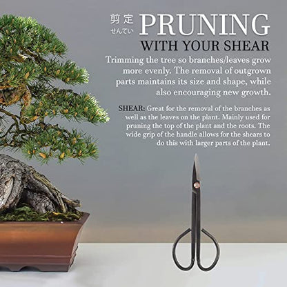 BambooMN 7.2" Black Bonsai Trimming Shear - 1 Piece - color: 7.2" Trimming Shear, size: 1
