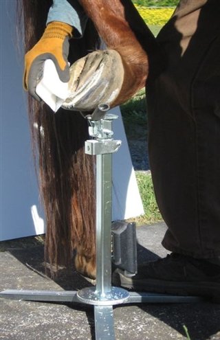 The Radius Rasp-1 'Original' Barefoot hoof Shaping Tool, Plastic Ergonomic Handle with Perforated Stainless Steel 'Shaving' Blade
