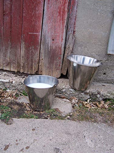 Little Giant® Stainless Steel Dairy Pail | Galvanized Metal Utility Bucket with Handle for Gardening & Farming | Cow Pail | 13 Quart - size: 13 Quart