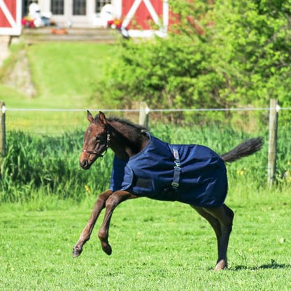 STORM SHIELD Euro Fit Bellyband Foal Horse Turnout Blankets | Mini Horse Blanket | Turnout Blankets for Horses Waterproof | Foal Blanket | Winter Horse Blankets - size: 30 - 36