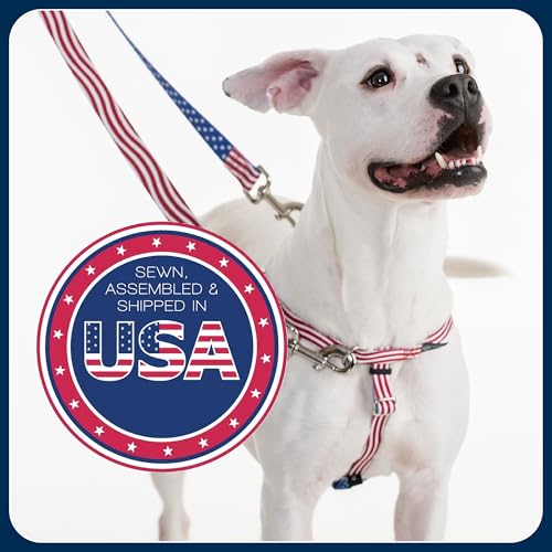 2 Hounds Design Freedom No Pull Dog Harness and Leash, 1" MD, Neon Green - color: Neon Green, size: 1" MD (Chest 24" - 28")