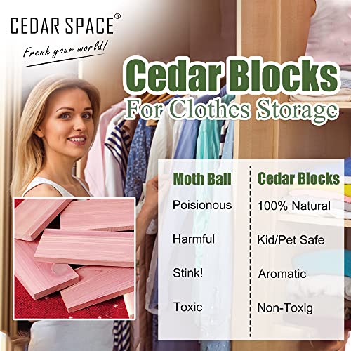 Cedar Space Cedar Blocks for Clothes Storage, 16 PCS Cedar Chips for Closet - size: 16 Count (Pack of 1)