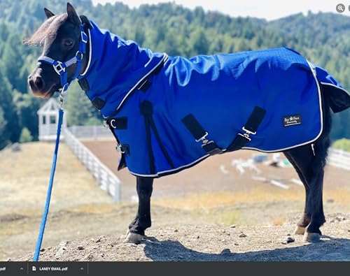 Mini-Pony Horse Ripstop Waterproof Windproof Blanket Hooded Lightweight Turnout Rain Sheet Breathable Lining 1200 Denier Material 350 Fill (46-48", Raspberry) - color: Raspberry, size: 46-48"