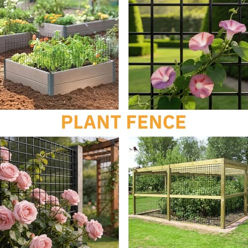 PVC Coated Welded Wire Fencing,2"x2" 14GA Coated (16GA Bare),36inch H x 100ft L Garden Wire Fence Roll,2/3/4/5/6ft Tall x 100 ft Long Vinyl Coating Metal Wire Mesh for Yard,Farm,Dog,Vegetable - color: Black, size: 14GA 2x2 36"x100'