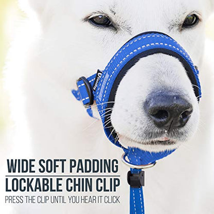 GoodBoy Dog Head Halter with Safety Strap - Stops Heavy Pulling On The Leash - Padded Headcollar for Small Medium and Large Dog Sizes - Head Collar Training Guide Included (Size 4, Blue Nylon) - color: Blue Nylon / Black Padding, size: Size 4 (Pack of 1)