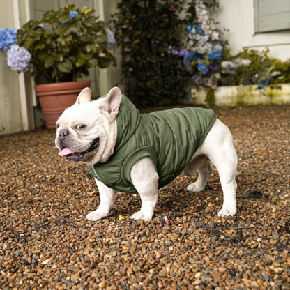 Vecomfy Warm Dog Coats with Hoodie,Winter Dog Jackets for Medium Dogs - color: Green, size: Large