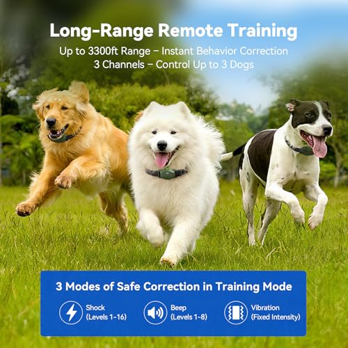 Wireless Dog Fence - Portable Electric Dog Fence with Remote Training, Waterproof Perimeter Dog Collar Containment System, Adjustable 33–656FT for Yard, Camping & RV Travel (1 Collar)